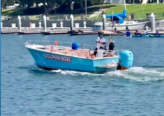 Um passeio de 90 minutos pelo Dolphin Boat! Um divertido passeio pela natureza e pela vida selvagem 