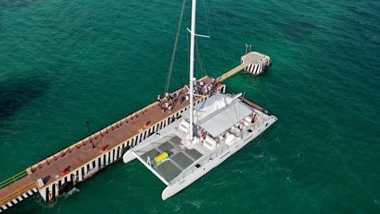 Precioso y espacioso catamarán con barra abierta para pasar el mejor momento