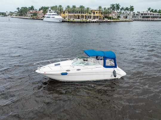 todas as tarifas incluem Captain- Charter In Style - SeaRay 260 Sundancer