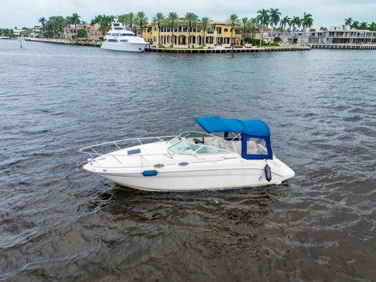 all rates include Captain-  Charter In Style -  SeaRay 260 Sundancer
