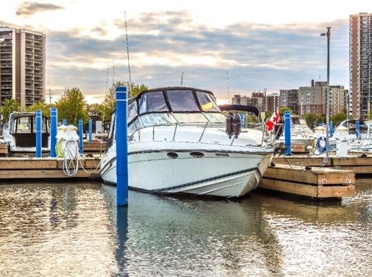 Plaisir nautique à Windsor ou dans les environs (lac Sainte-Claire et rivière Détroit)