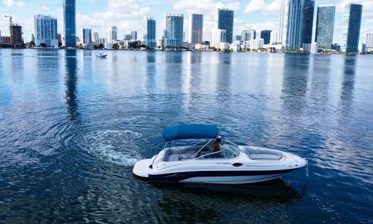  26’ SEA RAY SUNDECK for 11 people, In Miami, Florida 🛥