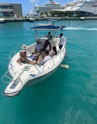 Luxury Private Tours, Rose island, Pigs, Turtles and so much more!!