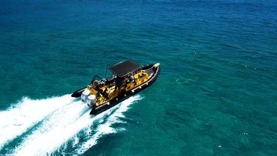 Aventure exclusive à Waikiki : bateau à sensations pour 6 passagers et plongée en apnée