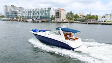 Private 40" Sea Ray Charter for up to 12 People in Fort Lauderdale/Miami