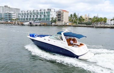 Private 40" Sea Ray Charter for up to 12 People in Fort Lauderdale/Miami