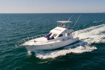 Custom 42 ft Yacht & Sportifshing vessel