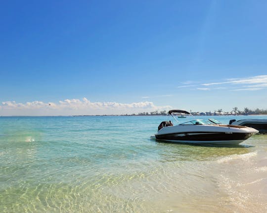 24 pieds Sea Ray Bowrider - Survolez la baie avec style !