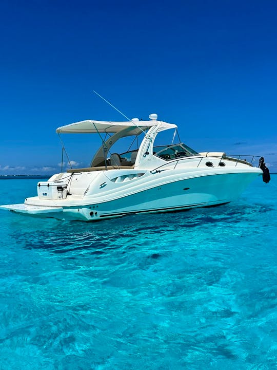 37 FT - SEA RAY SUNDANCER - SS - UP TO 12 PAX CANCUN, MEXICO 