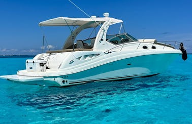 37 FT - SEA RAY SUNDANCER - SS - UP TO 12 PAX CANCUN, MEXICO 
