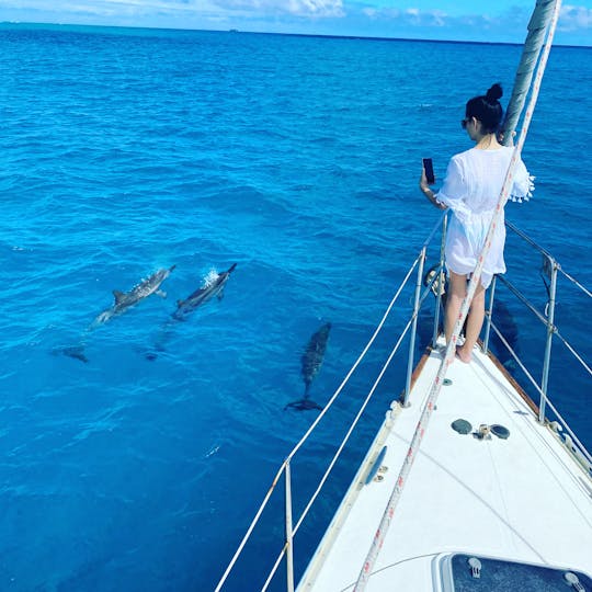 Navegação privada em iate de luxo de 45 pés, navegação diurna, vela ao pôr do sol, mergulho 