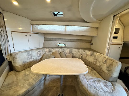 Bayliner de 32 pies: barco perfecto para el verano en Seattle, con capacidad para 10 personas