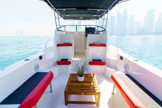 31 Feet Silver craft Motor Boat in Dubai KSY