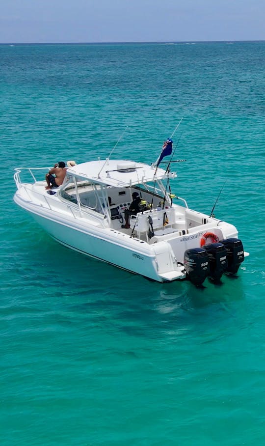 Pêche privée, plongée avec tuba ou croisière - demi-journée d'après-midi (13 h à 17 h) à bord du 37' Intrepid