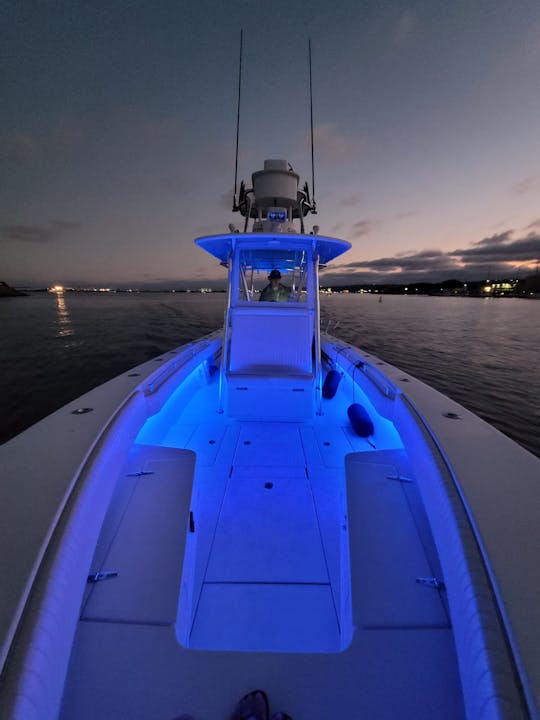 La mejor atracción de la ciudad. Recorrido por la bahía, crucero al atardecer o con delfines, chárter de pesca...