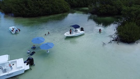 BackCountry Sandbars Key West 