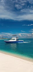 Luxury Private Speed Boat Tours