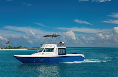 Luxury Private Speed Boat Tours