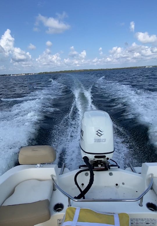 Nouveau ! Console centrale Pioneer de 20 pieds, parfaite pour la croisière ou la pêche !