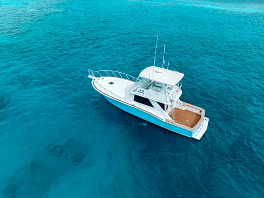 Private 47ft Chris-Craft Yacht in Aruba 