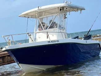 Venga y disfrute de su día pescando o viendo la puesta de sol en el Viejo San Juan