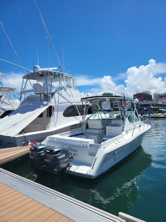 San Juan Bay: Day Cruise II | Drink & Snacks •