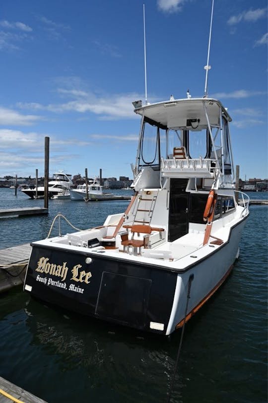 Scenic, History, and  Fishing Charters out of Casco Bay