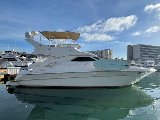 Sea Ray 44ft Yacht to live and amazing day at Los Cabos.