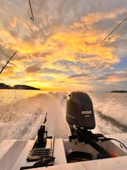 Flamingo Bay: passeios de snorkel na praia e ao pôr do sol