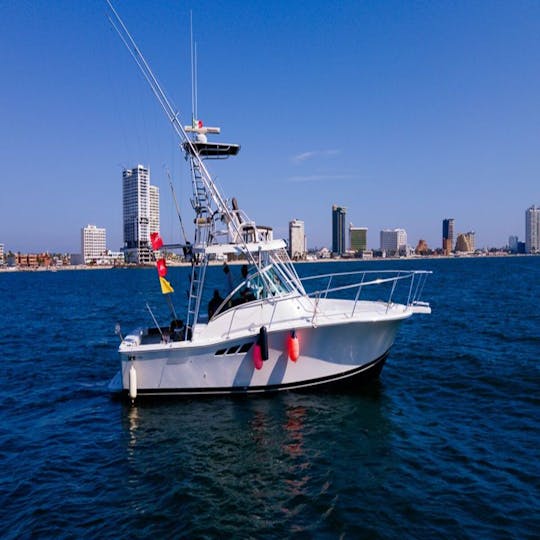 Luhrs 42ft Yacht Sportfishing  Experience in Mazatlan