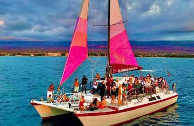 49 tour, snorkel, whale watch catamaran 