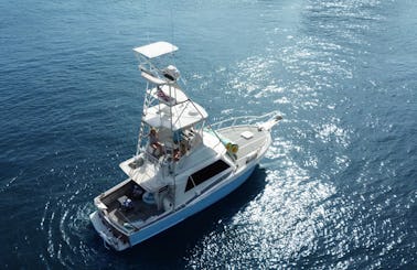 Fishing, Sightseeing, & More! Affordable, Family Friendly Charters in South FL