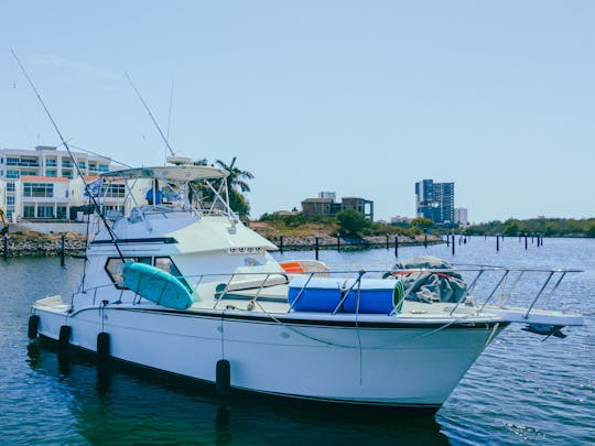 Hatteras 46 ft Luxury Yacht Charter