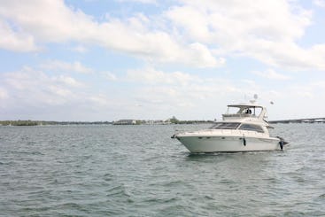 Sea Ray Flybridge Predator de 55 pieds | Yacht de luxe à Miami