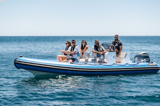 Explore as impressionantes cavernas de Benagil em um passeio de barco RIB privado!