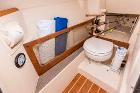 Captained 27 Classic Grady White Dayboat with Restroom, Floats, Beach Trip