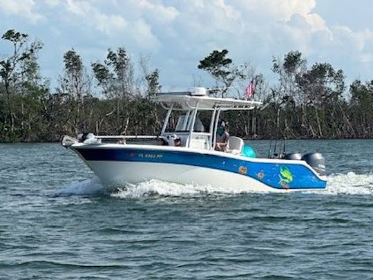 Aventuras de barco e pesca de propriedade de veteranos, console central Sea Fox de 26 pés