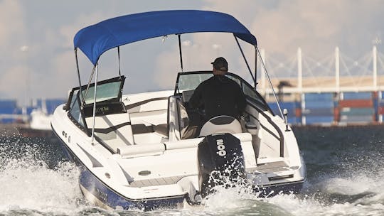 Recorrido privado en barco por Miami para amigos y familiares