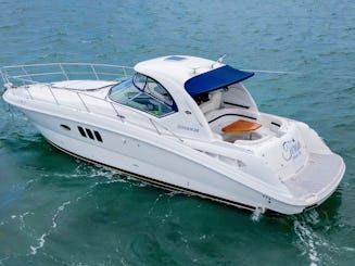 Découvrez SUNDANCER 40 PIEDS À FORT LAUDERDALE !