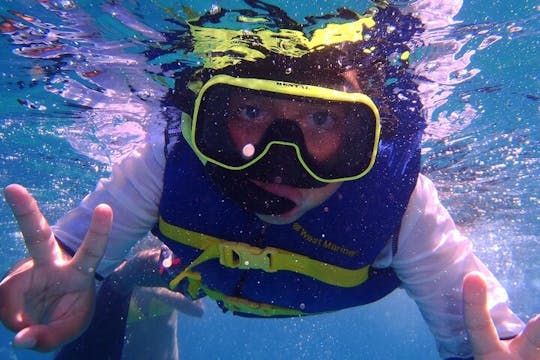 Experiencia de esnórquel de 4 horas en Cabo San Lucas