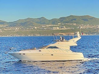 44' Sea Ray Yacht Charter in Cabo San Lucas, Mexico