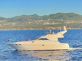 Alquiler de yates Sea Ray de 44' en Cabo San Lucas, México