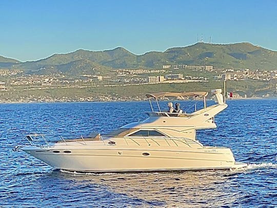 Location de yacht Sea Ray de 44 pieds à Cabo San Lucas, Mexique