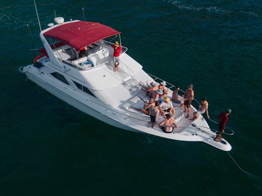 BAR.CO | SeaRay 44ft Beatuful Yacht for those seeking fun & adventure.