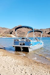 Promenades en bateau à l'heure sur Tritoon de 20 pieds 