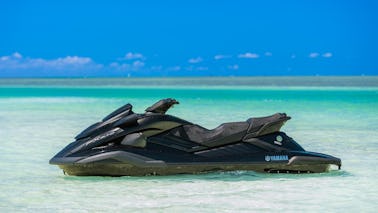 Single JetSki Rental on Folsom Lake