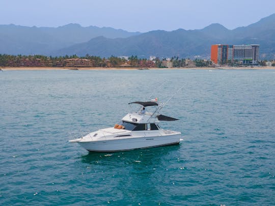 Yacht SeaRay classique de 40 pieds. Idéal pour la croisière et la pêche sportive