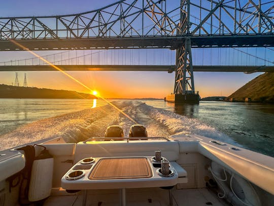 Boston Whaler de 28 pies: cruceros al atardecer, aventuras en el área de la bahía y más 