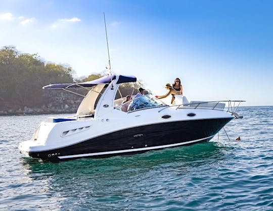 260 Sundancer Best Value Casual Yacht in Puerto Vallarta