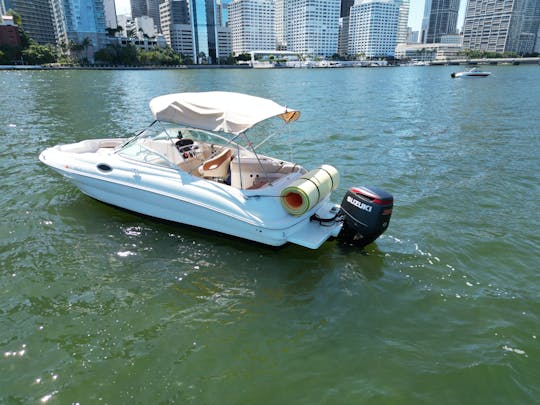¡La mejor oferta del mercado! Sea Ray Sundeck 26': ¡Diversión a un precio inmejorable!